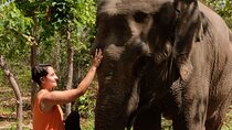 Phnom Tamoa Wildlife Rescue Center, Buddha Kiri Cambodia Day Tour