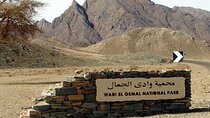 Wadi El Gemal Desert Expedition with Transport