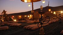 Marsa Allam Bedouin Village Experience