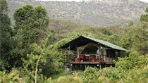 3-Day Mid-Range Jambo Masai Mara Safari on 4x4 Land Cruiser Jeep