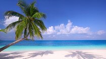 7 Hour Private Trip to Island Paradise from Hurghada