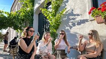Small Carpathian Wine Tour