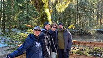 Experience the Beauty of Vancouver’s Forests by Bike/E-Bike