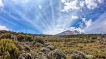 8-Day Hiking Tour Lemosho Route in Tanzania