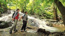 Explore UNESCO FRIM Forest + Batu Caves, Hot Springs & Waterfalls