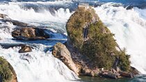 Rhine Falls & Stein am Rhein Private Day Trip
