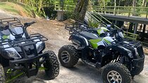 Skip the line Atv, Horse Back Riding and Zipline from Montegobay 