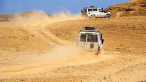 Quad Jeep Camel and Buggy Safari with BBQ Dinner In Hurghada