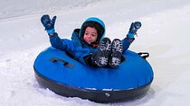 Snow Abu Dhabi With Transfer Optional 