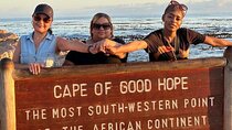 Cape Town Tour: Cape Peninsula>Seal island>Ostrich farm &Penguins