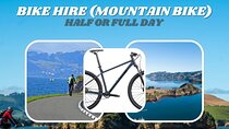 Non-Electric Bike Rental