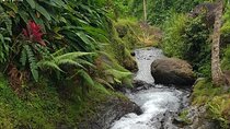Full Day Private Tour in North Bali 