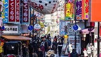 Osaka 8hr Private Tour with Government-Licensed Guide