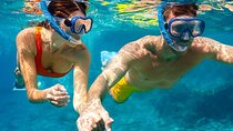 Samadai Reef - Dolphin House Snorkeling Tour at Marsa Alam