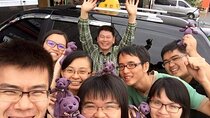3 Days Private jumbo taxi Tour in Jeju Island with Mr.Ko (Suhong)
