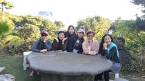 South of jeju private Jumbo taxi tour with Mr.KO (Suhong)