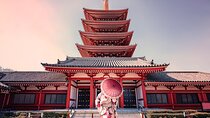 Private Custom Tour in Tokyo