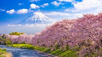 Full Day Private Tour Mt. Fuji, Hakone and Lake Ashi