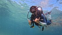 Los Cabos 1 tank dive to Land’s End (Certified Divers) 