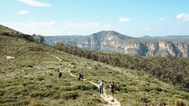 Private Blue Mountains Day Tour | Waterfalls, Koalas & Views 