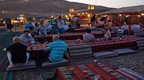 Private Half Day Night Camel Ride in Marsa Alam 