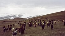 10 Day Nomad Horseback Tour Trekking to Song-Kul