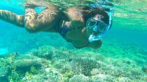 Ras Mohamed National Park Snorkeling Adventure