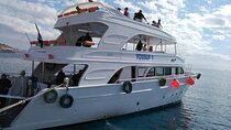 Ras Mohamed and White Island Tour