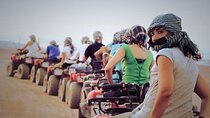 Royal Safari: Quad, Buggy Car, with visiting Bedouin Village 