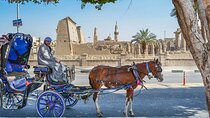 1 Hour Private Horse Ride Tour at Luxor City
