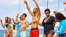 2-Days of Private Jamaican Excursions (All Inclusive)
