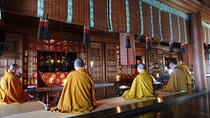 3 Hour Sennyuji Imperial Family's Temple in Kyoto Tour 