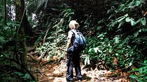 Taman Negara Rainforest Day Tour With Batu Caves Bonus Stop *25*