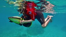 Eco Sea Scooter Beach Entry - Rent a GoPro Video tape Sea Turtles