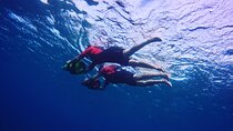 Private Tours Beach Entry - Sea Scooters Guided with videos
