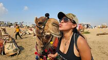 Giza Full Experience: Inside Great Pyramid, Sphinx, Camel, Lunch