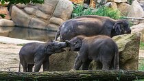 Prague Zoo Skip-the-line Tickets and Private Transfers 