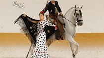 Horse and Flamenco Show in Malaga with Dinner