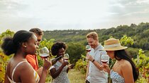 Sip and Savor: Private Yarra Valley Wine Tour from Melbourne