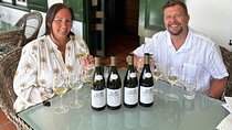 Constantia half day wine tasting tour