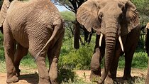 5 Days Northern Migration Budget Safari.