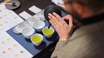 Real Tea Experience in Takayama with Expert Guide