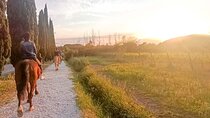 Horseback riding and aperitif 2 hours for beginners