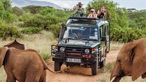 6 Days Amboseli Lake Naivasha and Masai Mara Safari