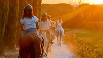 Horseback riding at sunset 1 hour at the Certosa di Pisa