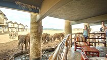3 Days Tsavo East National Park and Taita Hills Sanctuary on Jeep
