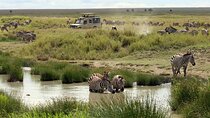 Big Five Luxury 7 Days Safari Tour in Arusha 