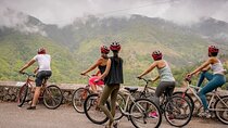 Exotic Full-Day Blue Mountain Bicycle Adventure