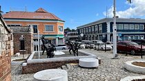 Montego Bay City Highlights & Bird Sanctuary & Shopping 