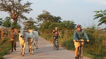 Silk Island at Twilight Cycle Encounter 